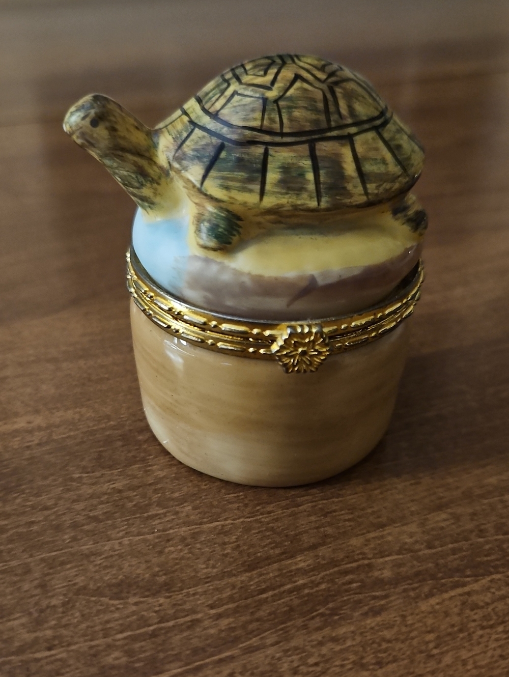 Vintage Turtle Hinged Keepsake Box